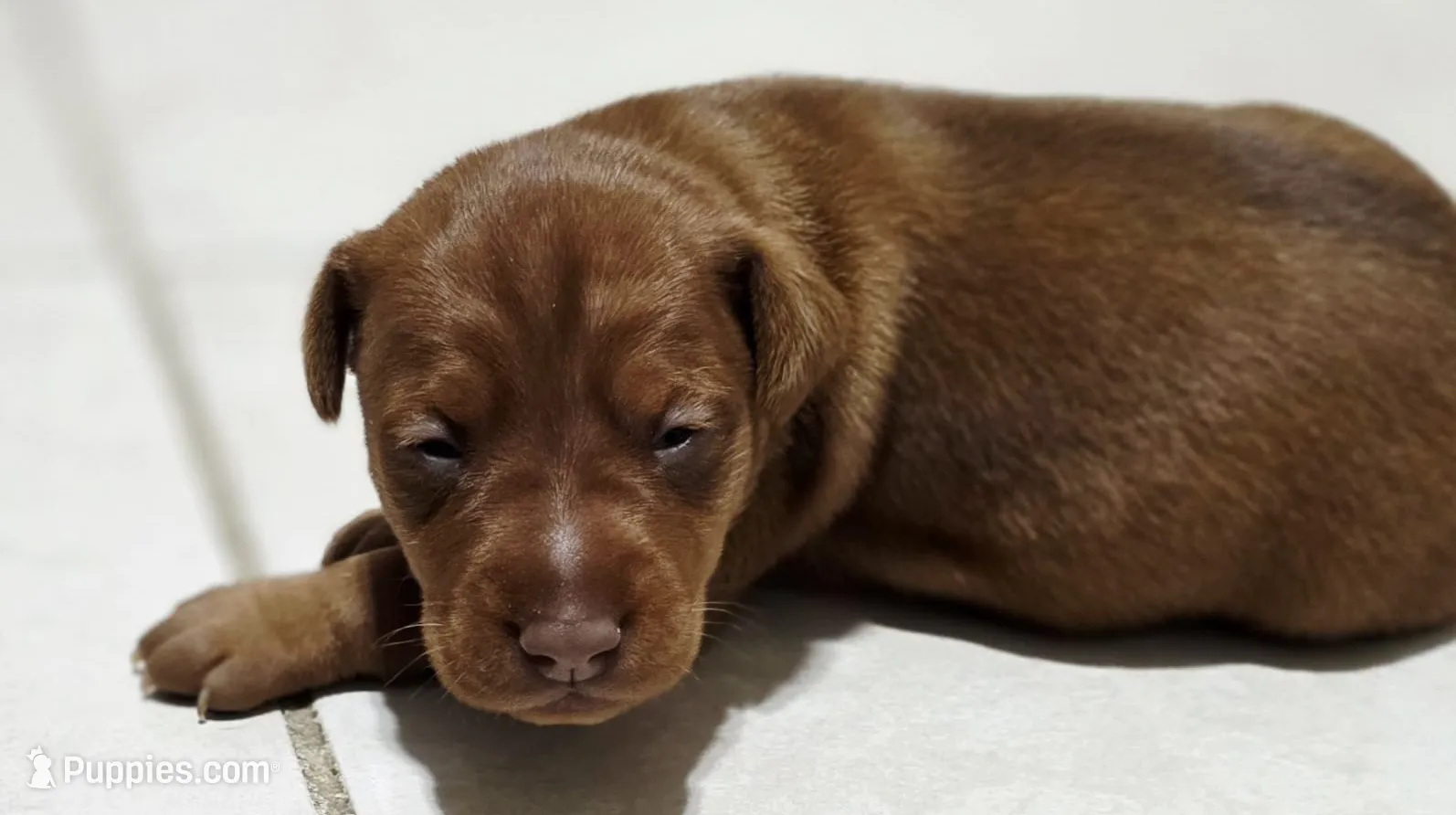 processed/cc3981e1-b02e-4175-b444-8df5a289f032/listing/e0f7e05b-3307-4c22-ac82-2cd6828b7f19/90f09739-9770-4cf4-9773-b678bdd228f9