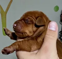 processed/cc3981e1-b02e-4175-b444-8df5a289f032/listing/e0f7e05b-3307-4c22-ac82-2cd6828b7f19/b92a11b0-90fe-479f-8f8b-119c67952e19