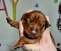 processed/cc3981e1-b02e-4175-b444-8df5a289f032/listing/e0f7e05b-3307-4c22-ac82-2cd6828b7f19/d4315508-74eb-4341-9b21-687fb9b14651