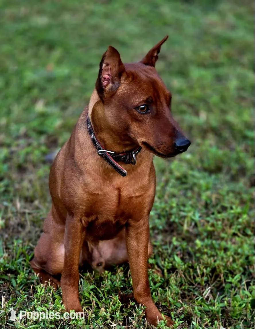 processed/cc3981e1-b02e-4175-b444-8df5a289f032/listing/e0f7e05b-3307-4c22-ac82-2cd6828b7f19/f2eb71cc-f1ec-46ed-a1f5-31d78e071a68