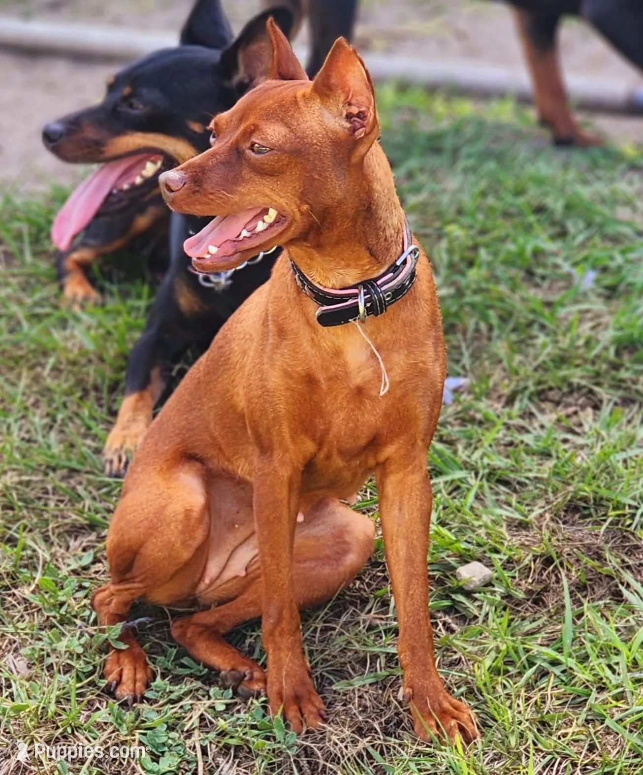 processed/cc3981e1-b02e-4175-b444-8df5a289f032/listing/f4a682a3-4713-49a2-9a95-ddf2683f0483/53bac9b9-9d7e-4035-bab3-53bb2c7f6502