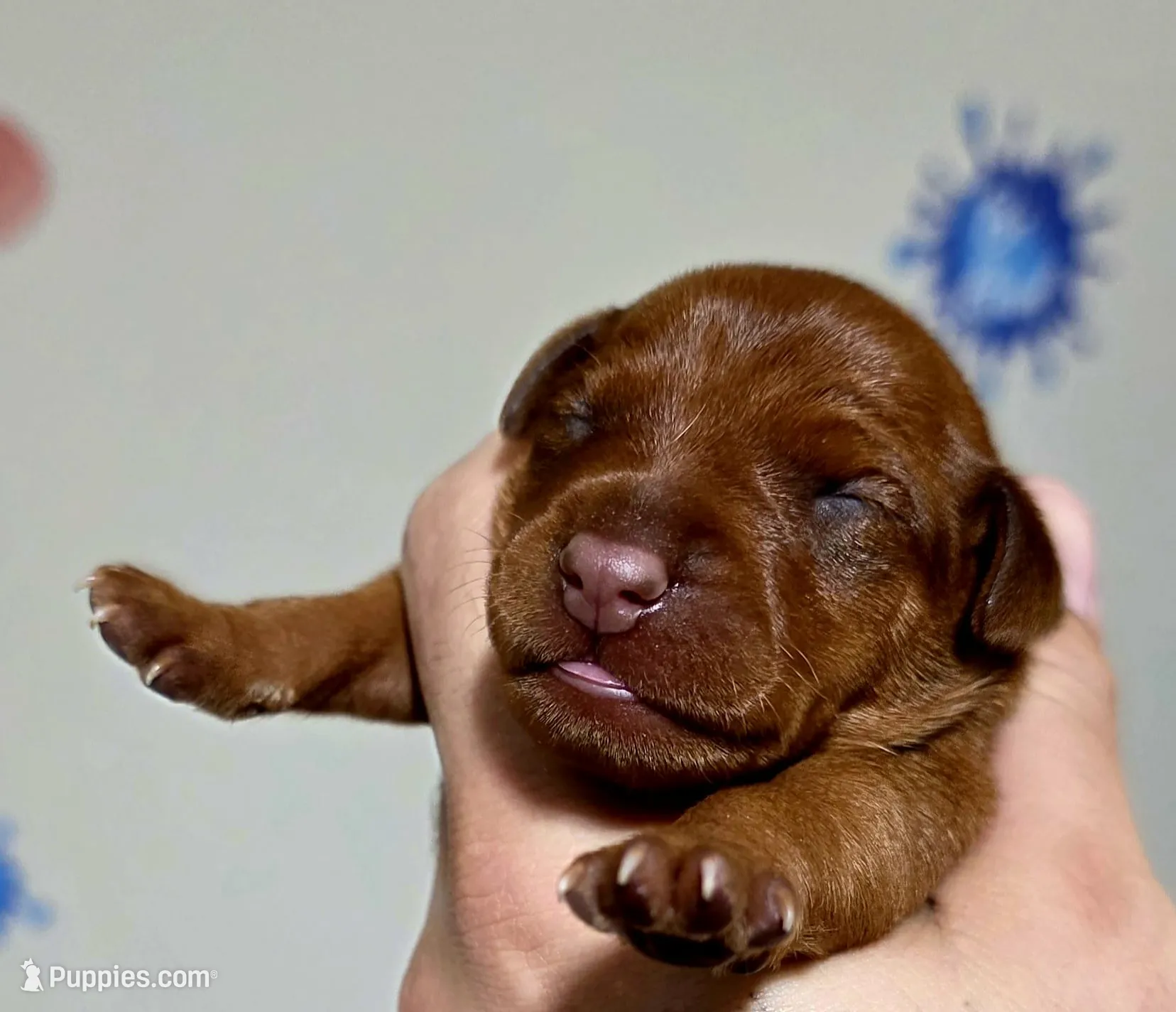 processed/cc3981e1-b02e-4175-b444-8df5a289f032/listing/f4a682a3-4713-49a2-9a95-ddf2683f0483/7981145d-b428-4150-956e-6aaf176fa823