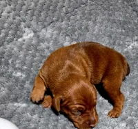 processed/cc3981e1-b02e-4175-b444-8df5a289f032/listing/f4a682a3-4713-49a2-9a95-ddf2683f0483/ca7e5a96-2d2e-4d84-b19d-03fbf14996af