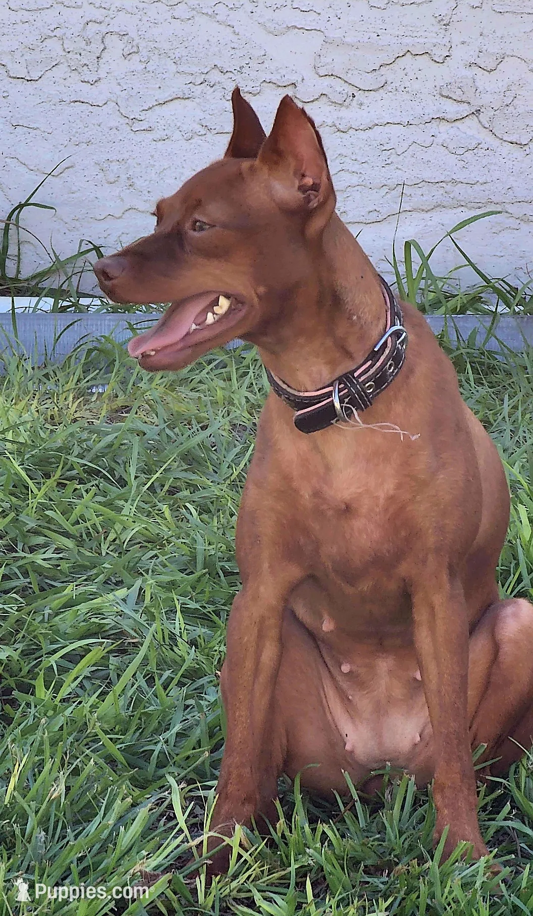 processed/cc3981e1-b02e-4175-b444-8df5a289f032/listing/f544ceed-51cc-42e2-b489-51229ab7b9d8/044ce637-5fdb-48d3-8bdd-1cfbb732cf92