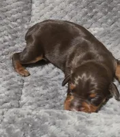 processed/cc3981e1-b02e-4175-b444-8df5a289f032/listing/f544ceed-51cc-42e2-b489-51229ab7b9d8/0e9756ad-e7ca-4927-acf1-ed1080d5f6b4