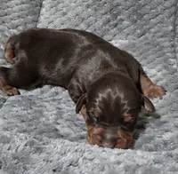 processed/cc3981e1-b02e-4175-b444-8df5a289f032/listing/f544ceed-51cc-42e2-b489-51229ab7b9d8/20afa4b9-e295-43be-ae2a-83bf09a5677b