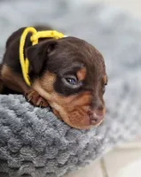 processed/cc3981e1-b02e-4175-b444-8df5a289f032/listing/f544ceed-51cc-42e2-b489-51229ab7b9d8/286e726c-9725-448d-a49b-4f146ab98d00