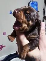 processed/cc3981e1-b02e-4175-b444-8df5a289f032/listing/f544ceed-51cc-42e2-b489-51229ab7b9d8/2ff7a981-f8d8-4ba3-9daf-dc1f69d0a6f7