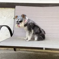 processed/cc4594c3-98d7-49b7-a021-3ec06092d091/facility/048aff6e-e81a-4183-acd6-638e059db9b6