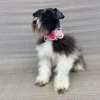 processed/cc4594c3-98d7-49b7-a021-3ec06092d091/facility/09b528d4-df82-4bc5-8769-2cfa30c57653