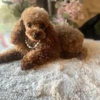 processed/cc4594c3-98d7-49b7-a021-3ec06092d091/facility/2680d8d7-0cdf-494f-a9c2-ea43e52a02d6