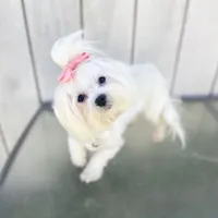 processed/cc4594c3-98d7-49b7-a021-3ec06092d091/facility/582a3d2b-0d0e-4b8c-9d02-974a2b5cd136