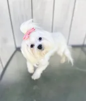 processed/cc4594c3-98d7-49b7-a021-3ec06092d091/facility/582a3d2b-0d0e-4b8c-9d02-974a2b5cd136