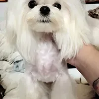 processed/cc4594c3-98d7-49b7-a021-3ec06092d091/facility/b1f7b14e-3a67-4a0e-8d03-2fd687b84cca