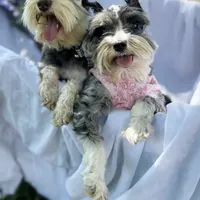 processed/cc4594c3-98d7-49b7-a021-3ec06092d091/facility/da19badd-32db-4030-81d3-6085836209ac