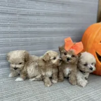 processed/cc4594c3-98d7-49b7-a021-3ec06092d091/facility/f864ddb2-ab93-4ced-815b-dbbe1a97071b