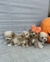 processed/cc4594c3-98d7-49b7-a021-3ec06092d091/facility/f864ddb2-ab93-4ced-815b-dbbe1a97071b