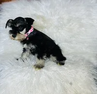 processed/cc4594c3-98d7-49b7-a021-3ec06092d091/listing/3d12b8ca-351d-46de-9b46-f544d5d230a9/32b8c319-b4a6-49dc-89d8-6c3805707c13