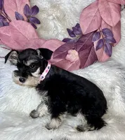 processed/cc4594c3-98d7-49b7-a021-3ec06092d091/listing/3d12b8ca-351d-46de-9b46-f544d5d230a9/63c97afd-13dd-48bf-bd6f-22d27473def3