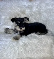 processed/cc4594c3-98d7-49b7-a021-3ec06092d091/listing/3d12b8ca-351d-46de-9b46-f544d5d230a9/6eca847d-7da1-4197-9b5c-f19f8902fbe4