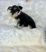 processed/cc4594c3-98d7-49b7-a021-3ec06092d091/listing/3d12b8ca-351d-46de-9b46-f544d5d230a9/7618dbf6-e382-4b9a-8597-875e375b571e