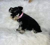 processed/cc4594c3-98d7-49b7-a021-3ec06092d091/listing/3d12b8ca-351d-46de-9b46-f544d5d230a9/f1d5d352-9cfb-4ac8-a5dc-cb2eea7147ed