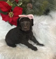 processed/cc4594c3-98d7-49b7-a021-3ec06092d091/listing/5ec6151e-d93a-4a7f-844f-9f00c57f15a2/3589104b-b3f5-47ee-bec4-8c5561d3c1c4