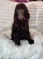 processed/cc4594c3-98d7-49b7-a021-3ec06092d091/listing/5ec6151e-d93a-4a7f-844f-9f00c57f15a2/59297ff9-f7dd-4d1b-949c-50a8706a4240