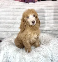 processed/cc4594c3-98d7-49b7-a021-3ec06092d091/listing/aa7ae84e-61fc-4eef-bd7c-479caa383ada/0edcd022-ef31-4485-9270-09727e7ee814