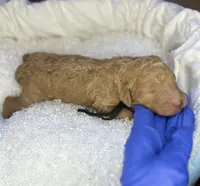 processed/cc4594c3-98d7-49b7-a021-3ec06092d091/listing/aa7ae84e-61fc-4eef-bd7c-479caa383ada/1db8da80-2089-4652-a606-e590ce3a4ed1