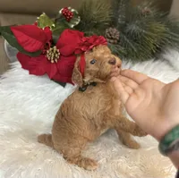 processed/cc4594c3-98d7-49b7-a021-3ec06092d091/listing/aa7ae84e-61fc-4eef-bd7c-479caa383ada/71d326c2-8d5a-476b-acbe-97cca2bdc0d6