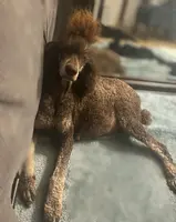 processed/cc4594c3-98d7-49b7-a021-3ec06092d091/listing/aa7ae84e-61fc-4eef-bd7c-479caa383ada/a05b07a1-f68d-4ac4-8556-5109aa4a0140