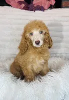 processed/cc4594c3-98d7-49b7-a021-3ec06092d091/listing/aa7ae84e-61fc-4eef-bd7c-479caa383ada/ce56ac34-d5be-452e-a16f-6ff4c696ed73