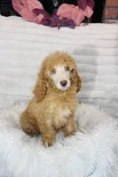 processed/cc4594c3-98d7-49b7-a021-3ec06092d091/listing/aa7ae84e-61fc-4eef-bd7c-479caa383ada/e86ddf09-1b08-469d-9128-c22a6921c21a