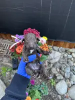 processed/cc4594c3-98d7-49b7-a021-3ec06092d091/listing/dd9d38fc-d56e-48a7-a846-de9f484b06b5/0312d02a-2707-4f95-8932-12a6d162d868