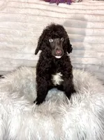 processed/cc4594c3-98d7-49b7-a021-3ec06092d091/listing/dd9d38fc-d56e-48a7-a846-de9f484b06b5/314314f3-2381-4a7a-bcbf-b37a4e19bce1