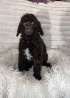 processed/cc4594c3-98d7-49b7-a021-3ec06092d091/listing/dd9d38fc-d56e-48a7-a846-de9f484b06b5/a6b78f87-6a4b-4127-9f25-37015ffe540e