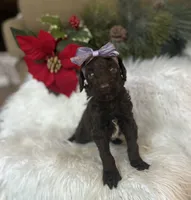 processed/cc4594c3-98d7-49b7-a021-3ec06092d091/listing/dd9d38fc-d56e-48a7-a846-de9f484b06b5/cdb9a8c4-36ec-4c39-84fc-daeb16066bf0