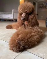 processed/cc4594c3-98d7-49b7-a021-3ec06092d091/listing/dd9d38fc-d56e-48a7-a846-de9f484b06b5/dda29c67-1564-4521-919c-396dfba7c24d