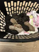 processed/cc4594c3-98d7-49b7-a021-3ec06092d091/listing/dd9d38fc-d56e-48a7-a846-de9f484b06b5/ec8e4303-ca4f-4bc9-b073-14ddc41c5c22