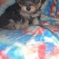 processed/cc47b0dc-fb16-4034-aaeb-4f908090ee31/facility/91e4d2ba-debb-4815-9cf3-cf25d866c580