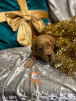 processed/cc5d70e4-92c9-4456-b3b4-5073275a9bdc/listing/00a5a18e-9ff5-4b45-a75c-6600d9c040b9/86d44690-ba8f-4776-a4f2-38ecb14eb880