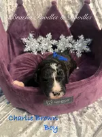 processed/cc5d70e4-92c9-4456-b3b4-5073275a9bdc/listing/0f1aca43-a3c7-496a-b0f8-c6bcb3ec83dd/83698e92-b749-456d-aa2f-235ea2954d76