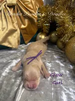 processed/cc5d70e4-92c9-4456-b3b4-5073275a9bdc/listing/177bc48b-824b-496c-98c2-30dc45697309/1a145dcb-8e8a-44ef-b697-3b044e2afd67