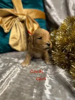 processed/cc5d70e4-92c9-4456-b3b4-5073275a9bdc/listing/3c4332a5-1fb4-44f5-a496-926451060409/e417894b-e0d9-4626-957c-a7055985799a