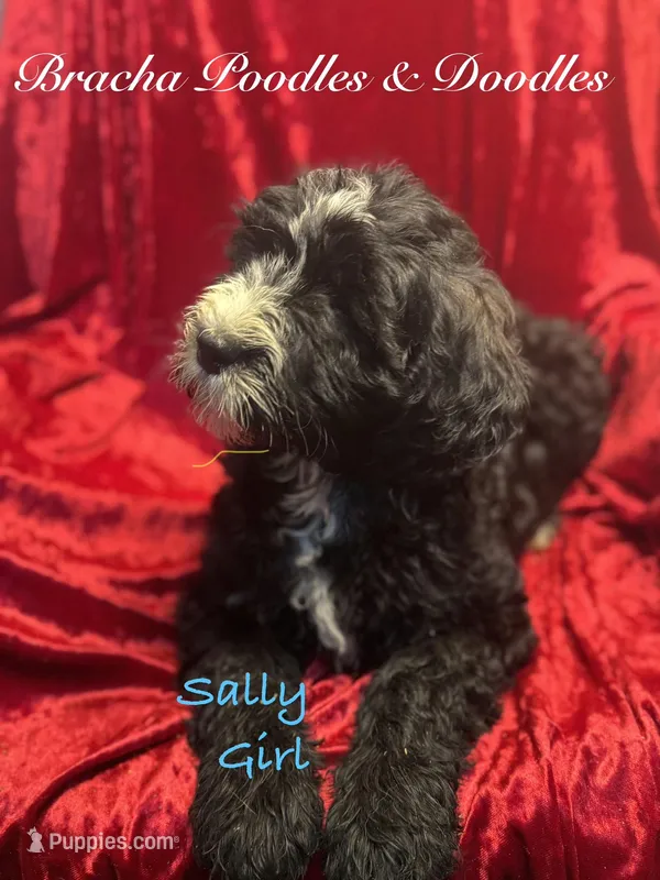 Sally