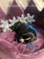 processed/cc5d70e4-92c9-4456-b3b4-5073275a9bdc/listing/82bdd996-3b92-4b95-9b6d-a3377184f08b/0d02b0d2-ec60-4383-99a6-d5bda6d42a0f