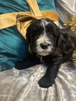 processed/cc5d70e4-92c9-4456-b3b4-5073275a9bdc/listing/82bdd996-3b92-4b95-9b6d-a3377184f08b/875117b7-a2de-4859-b5a4-8cc973c4de93