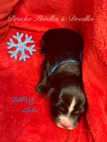 processed/cc5d70e4-92c9-4456-b3b4-5073275a9bdc/listing/82bdd996-3b92-4b95-9b6d-a3377184f08b/9f7f8af1-c937-40f6-b1d1-dfb78648fd22