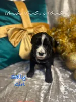 processed/cc5d70e4-92c9-4456-b3b4-5073275a9bdc/listing/82bdd996-3b92-4b95-9b6d-a3377184f08b/a9130806-52b3-4f6c-be2b-ef9908be45f0